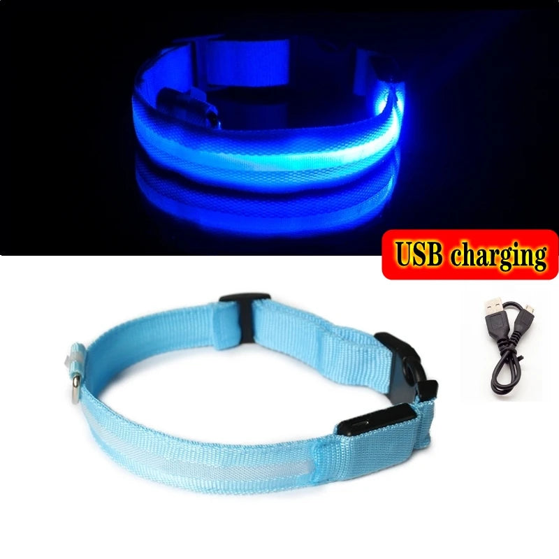 LED Dog Collar Light - Anti-Lost Illuminated Collar for Dogs and Puppies, Night Safety Accessory with USB Charging and Battery Options