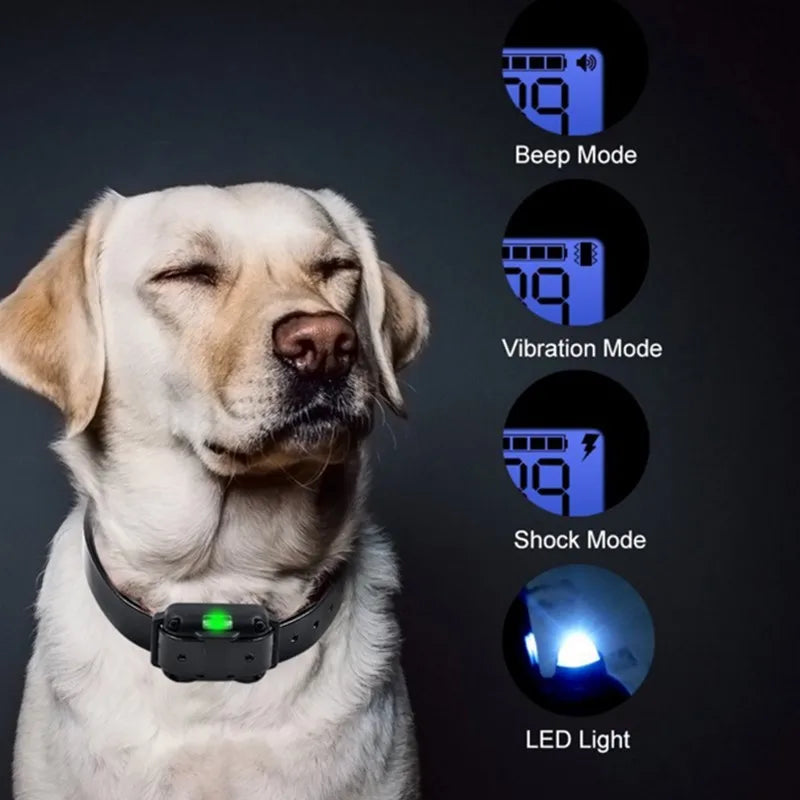 Rechargeable Electric Dog Training Collar with LCD Display for All Sizes