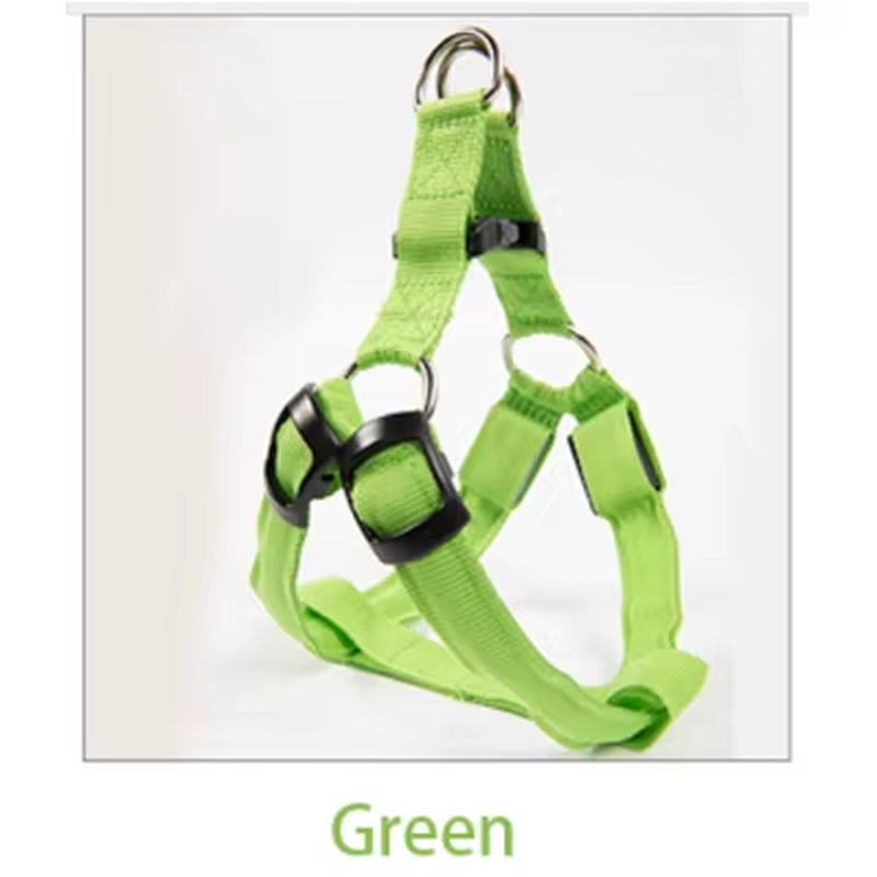 Nylon Pet Safety Harness with LED Light, Dog Leash and Collar Vest Accessories