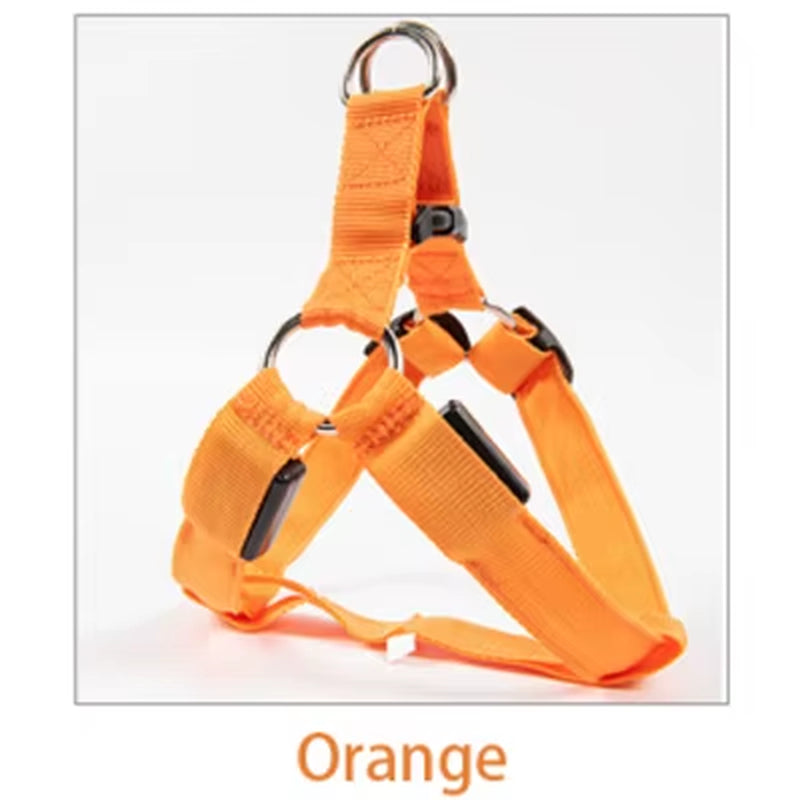 Nylon Pet Safety Harness with LED Light, Dog Leash and Collar Vest Accessories