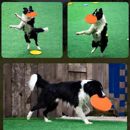 Durable Chewable Frisbee Toy for Dogs - Tear-Resistant Soft Rubber Flying Disc for Exercise and Training