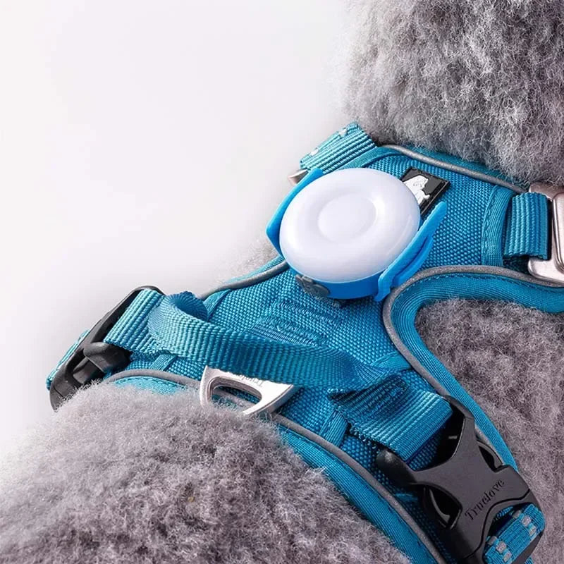 Pet Outdoor Waterproof Safety LEDLIGHT Flash Light Pet Accessories Dog Products TLD19103