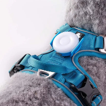 Pet Outdoor Waterproof Safety LEDLIGHT Flash Light Pet Accessories Dog Products TLD19103