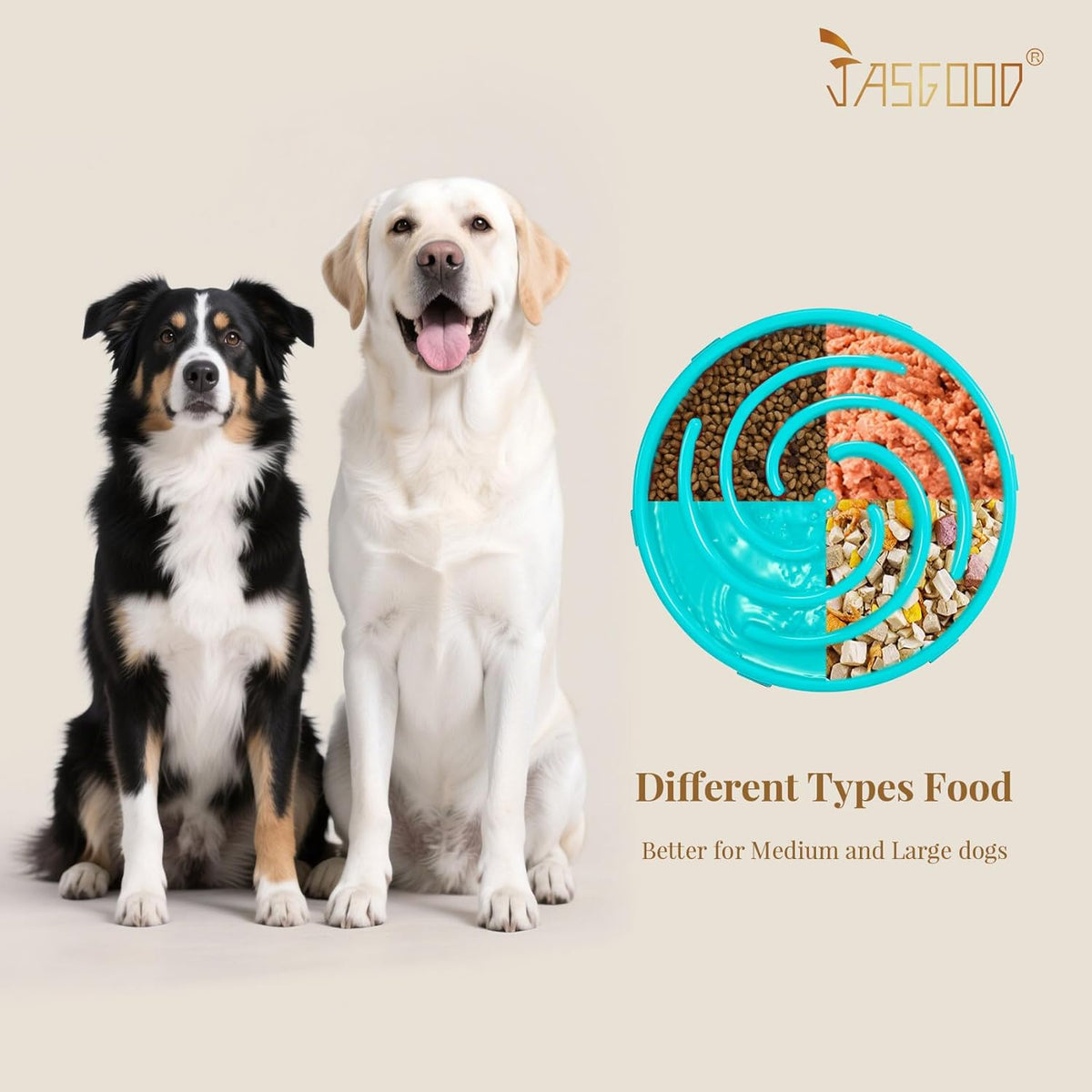 Slow Feeder Bowl for Large and Medium Dogs - Anti-Gulping Design to Prevent Bloat and Choking