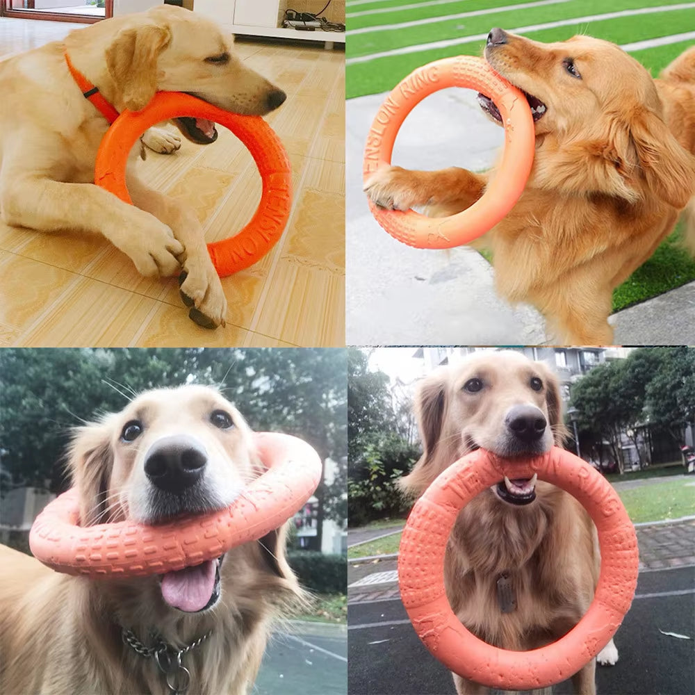 Orange EVA Dog Flying Disk Training Ring - Durable Interactive Toy for Dogs