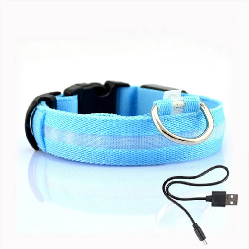 LED Dog Collar Light - Anti-Lost Illuminated Collar for Dogs and Puppies, Night Safety Accessory with USB Charging and Battery Options
