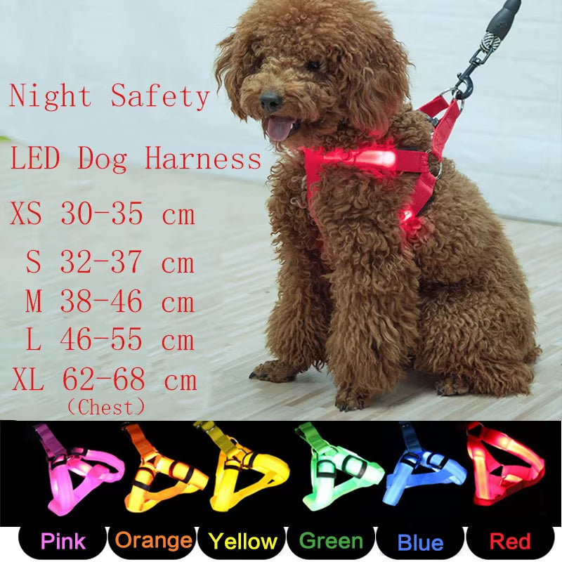 Nylon Pet Safety Harness with LED Light, Dog Leash and Collar Vest Accessories