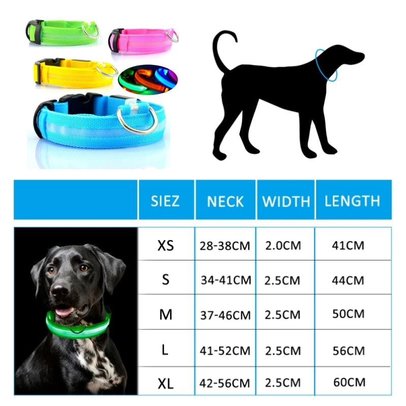LED Dog Collar Light - Anti-Lost Illuminated Collar for Dogs and Puppies, Night Safety Accessory with USB Charging and Battery Options