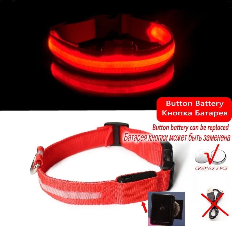 LED Dog Collar Light - Anti-Lost Illuminated Collar for Dogs and Puppies, Night Safety Accessory with USB Charging and Battery Options
