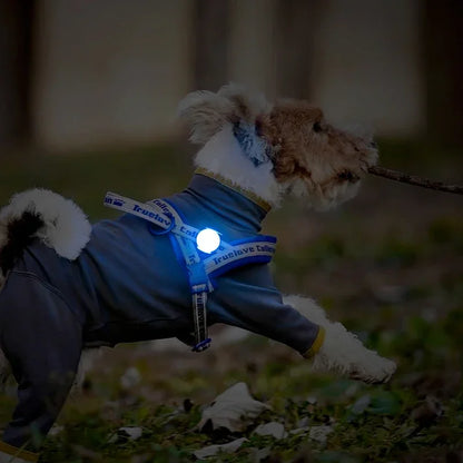 Pet Outdoor Waterproof Safety LEDLIGHT Flash Light Pet Accessories Dog Products TLD19103