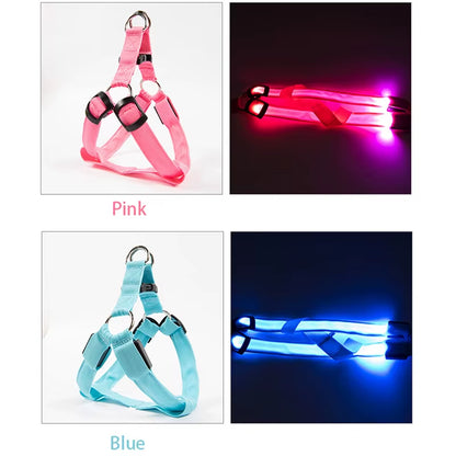 Nylon Pet Safety Harness with LED Light, Dog Leash and Collar Vest Accessories
