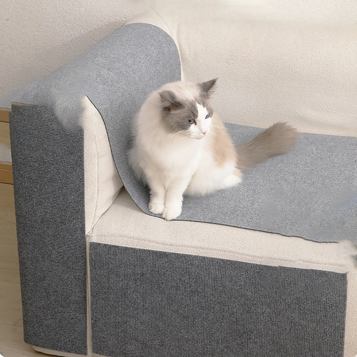 Trimmable Self-Adhesive Anti-Scratch Carpet Mat for Cats - Furniture and Wall Protector