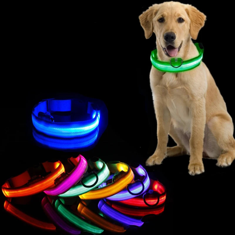 LED Dog Collar Light - Anti-Lost Illuminated Collar for Dogs and Puppies, Night Safety Accessory with USB Charging and Battery Options