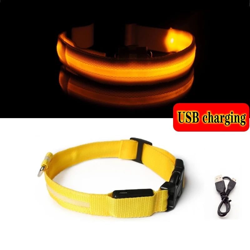 LED Dog Collar Light - Anti-Lost Illuminated Collar for Dogs and Puppies, Night Safety Accessory with USB Charging and Battery Options