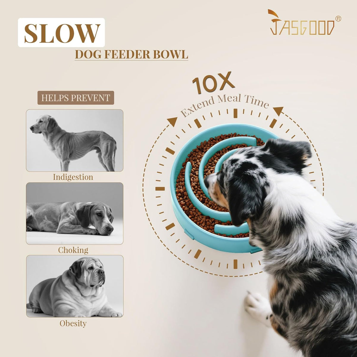Slow Feeder Bowl for Large and Medium Dogs - Anti-Gulping Design to Prevent Bloat and Choking