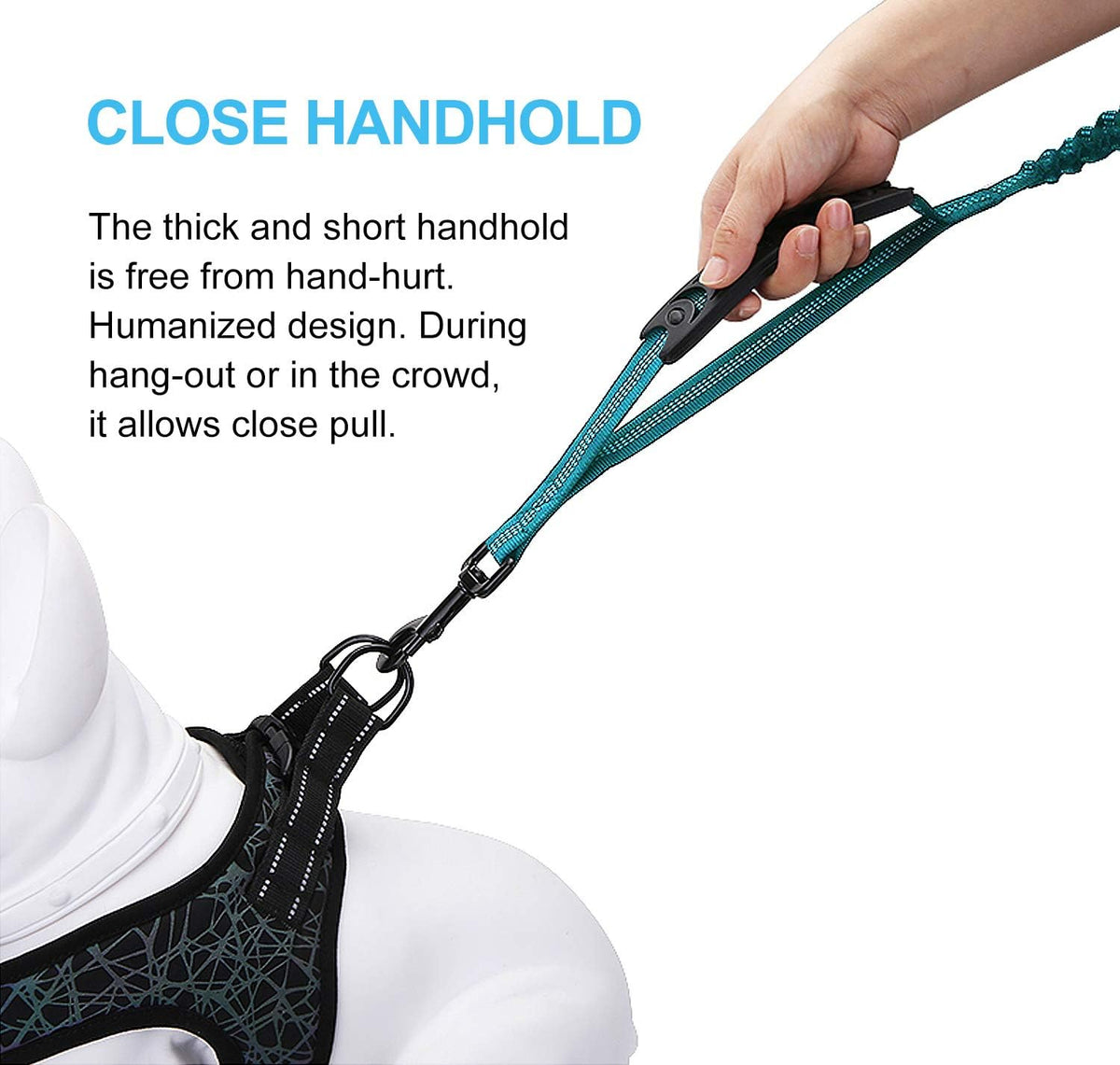 6FT Heavy-Duty Elastic Bungee Dog Leash with Shock Absorption, Padded Comfort Handle, and Traffic Handle for Medium and Large Dogs - Ideal for Training