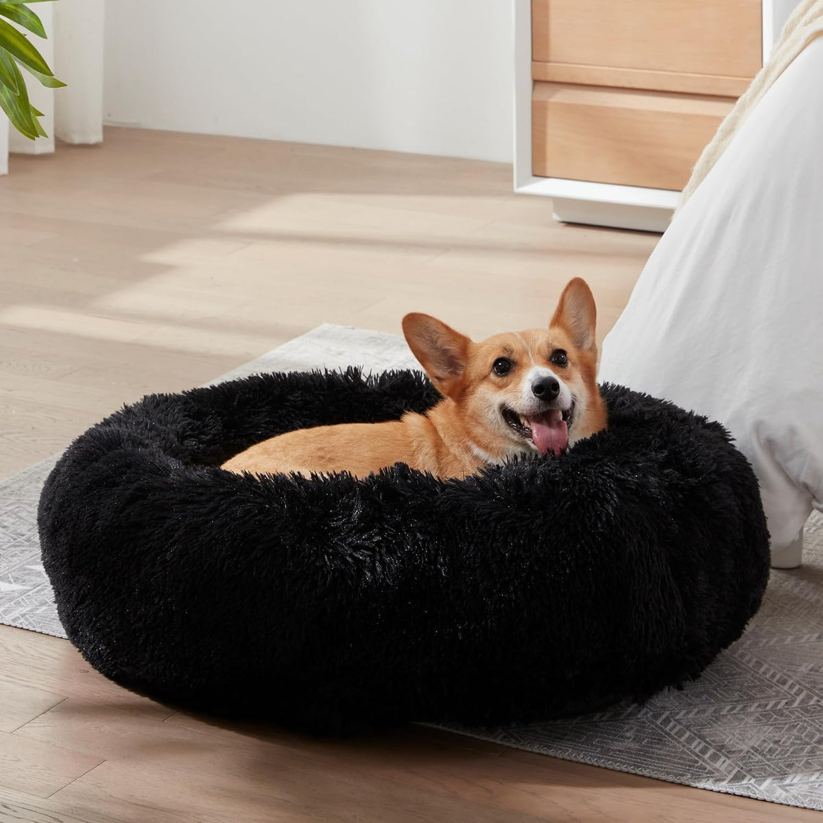 Western Home Washable Calming Donut Bed for Cats and Small Dogs, 20" Black