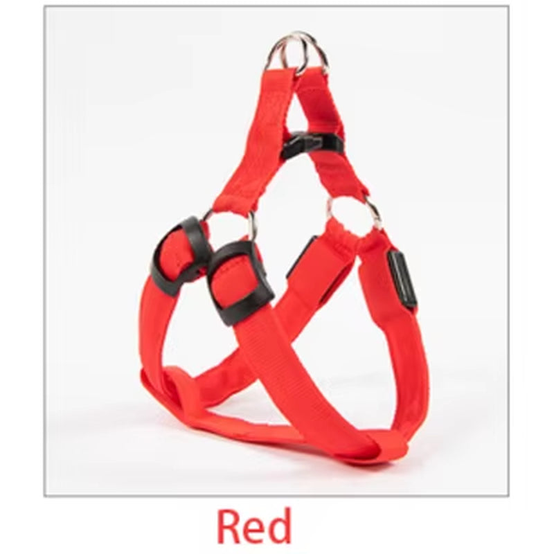 Nylon Pet Safety Harness with LED Light, Dog Leash and Collar Vest Accessories