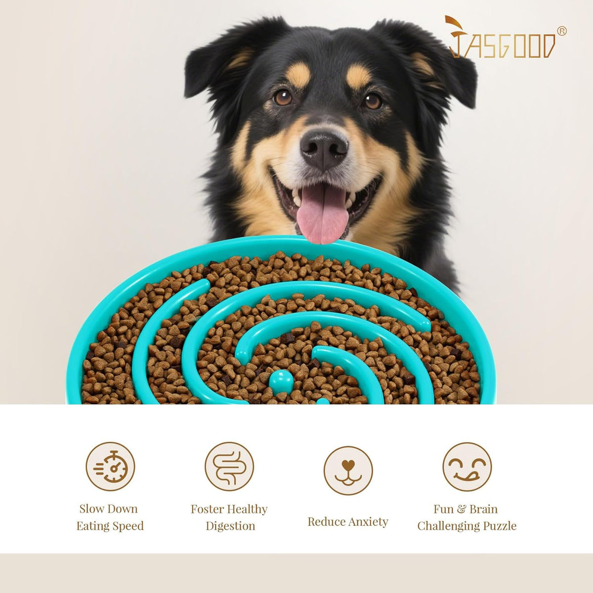 Slow Feeder Bowl for Large and Medium Dogs - Anti-Gulping Design to Prevent Bloat and Choking