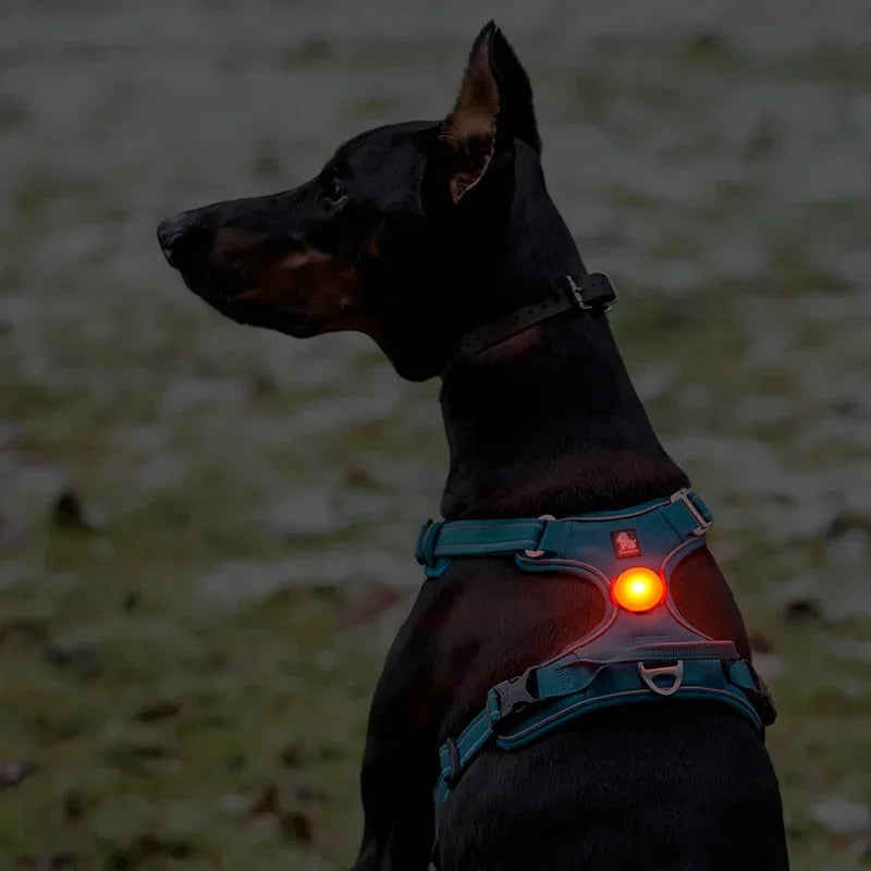 Pet Outdoor Waterproof Safety LEDLIGHT Flash Light Pet Accessories Dog Products TLD19103