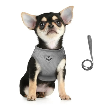 Adjustable Reflective Cat Harness and Leash Set - Escape Proof Mesh Vest with Collar for Small Dogs and Cats