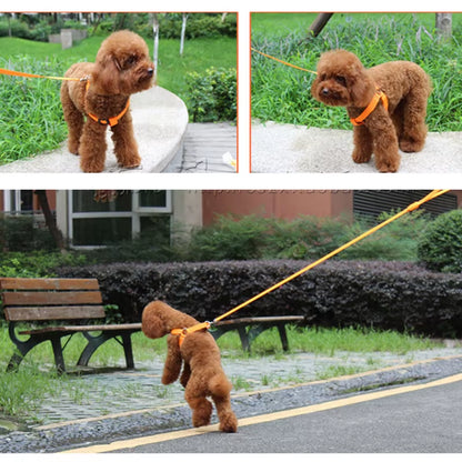 Nylon Pet Safety Harness with LED Light, Dog Leash and Collar Vest Accessories