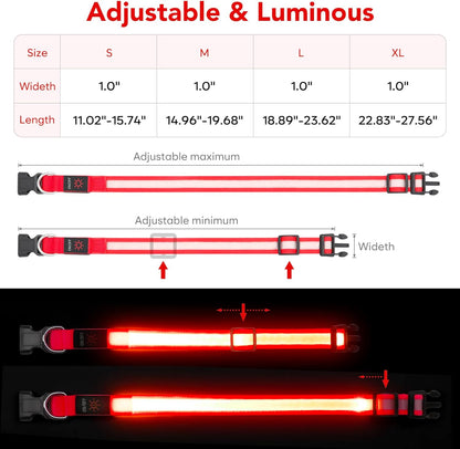 Adjustable USB Rechargeable High-Visibility LED Dog Collar for Medium Breeds - Red
