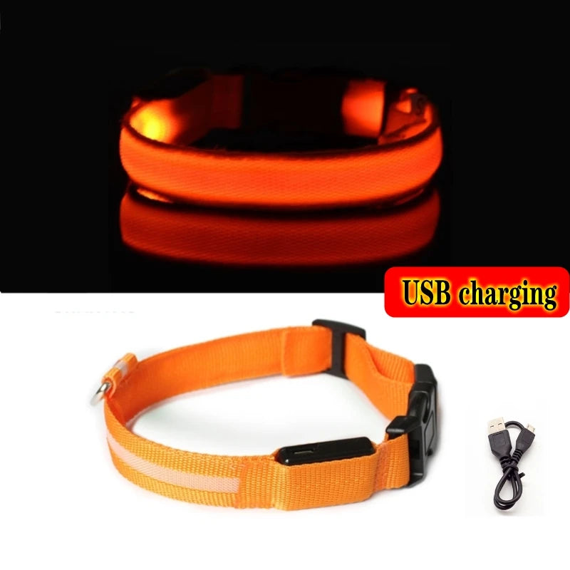 LED Dog Collar Light - Anti-Lost Illuminated Collar for Dogs and Puppies, Night Safety Accessory with USB Charging and Battery Options