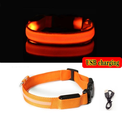 LED Dog Collar Light - Anti-Lost Illuminated Collar for Dogs and Puppies, Night Safety Accessory with USB Charging and Battery Options
