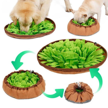 Dual-Purpose Pet Sniffing Bowl and Puzzle Mat for Dog Food Training