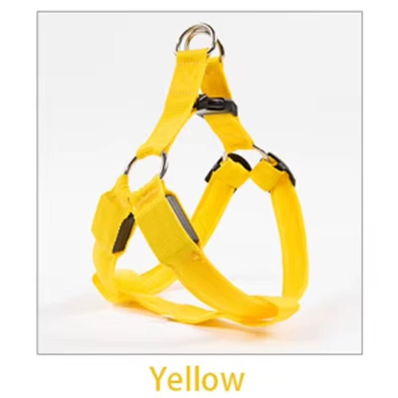 Nylon Pet Safety Harness with LED Light, Dog Leash and Collar Vest Accessories