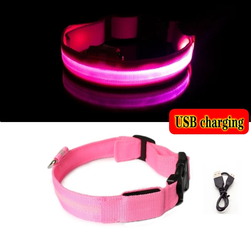 LED Dog Collar Light - Anti-Lost Illuminated Collar for Dogs and Puppies, Night Safety Accessory with USB Charging and Battery Options