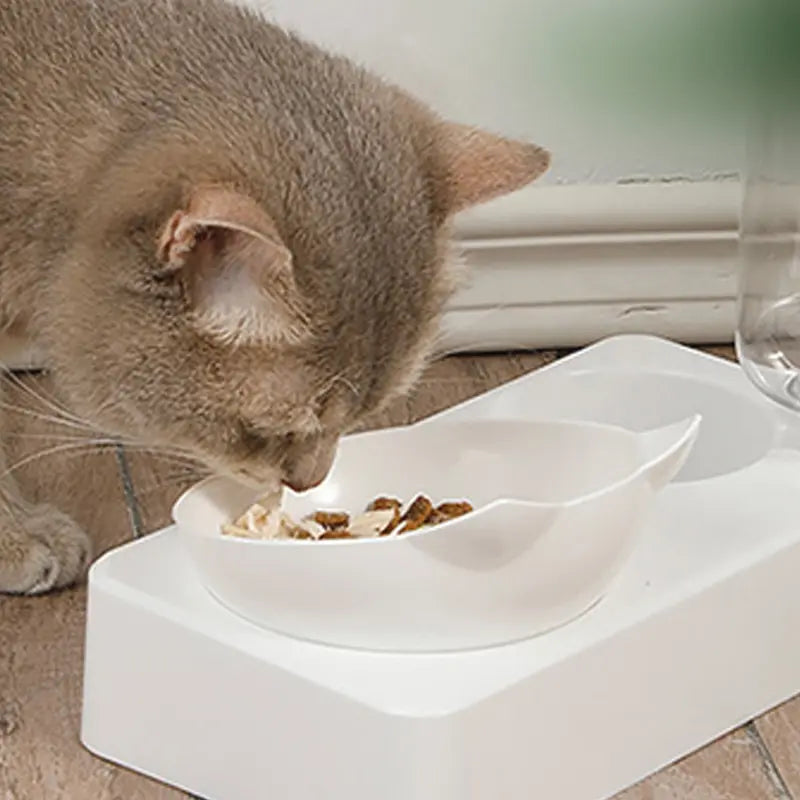 Ergonomically Designed Pet Bowl with 15-Degree Tilt for Cervical Vertebrae Support - Automatic Dog Food and Water Feeder