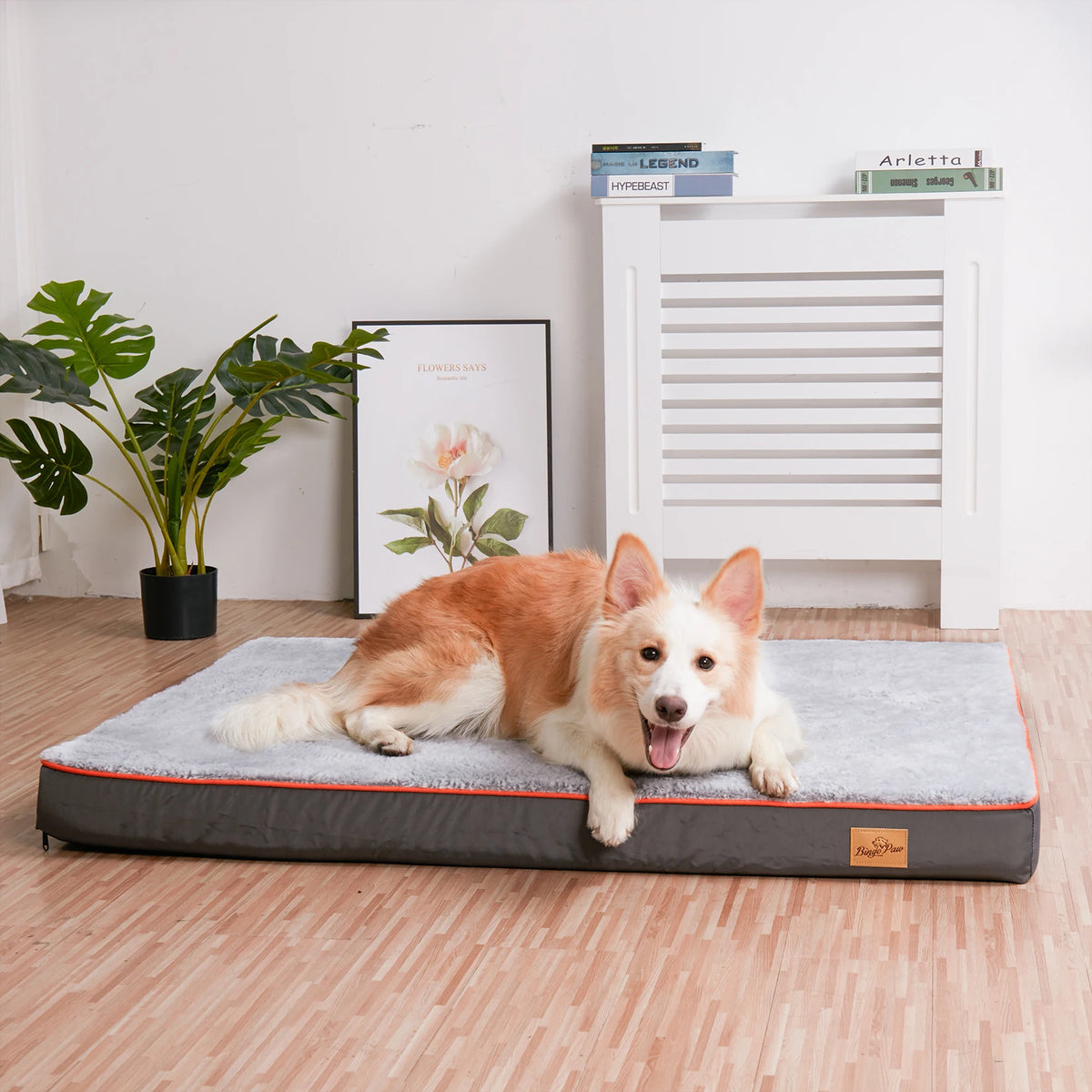 Large Orthopedic Memory Foam Dog Bed with Waterproof Cover and Nonskid Bottom for Joint Relief, Removable and Washable