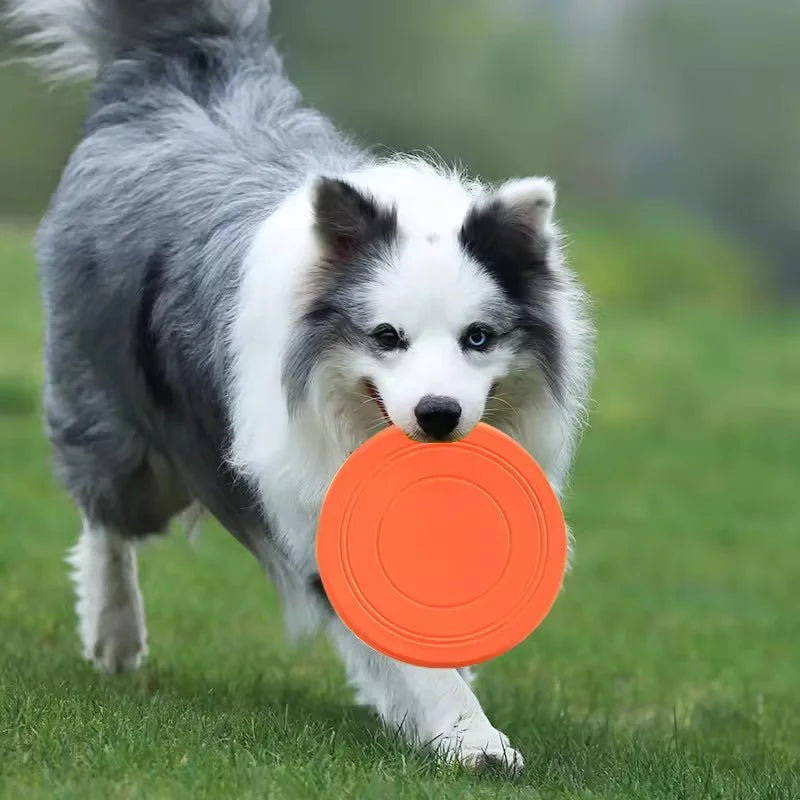 Durable Chewable Frisbee Toy for Dogs - Tear-Resistant Soft Rubber Flying Disc for Exercise and Training
