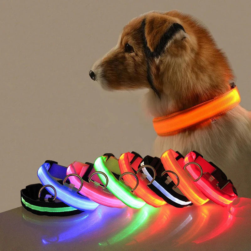 LED Dog Collar Light - Anti-Lost Illuminated Collar for Dogs and Puppies, Night Safety Accessory with USB Charging and Battery Options